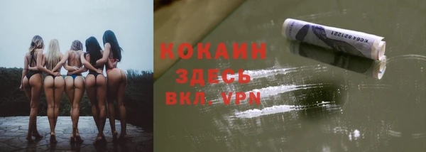 кокс Гусев