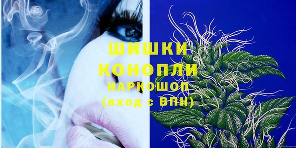 ПСИЛОЦИБИНОВЫЕ ГРИБЫ Дмитриев