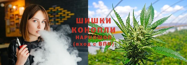 ПСИЛОЦИБИНОВЫЕ ГРИБЫ Гусь-Хрустальный