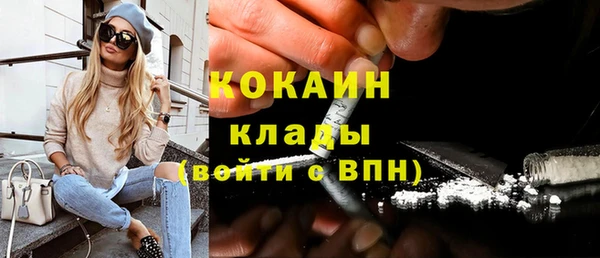 ПСИЛОЦИБИНОВЫЕ ГРИБЫ Дмитриев