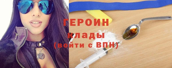 ПСИЛОЦИБИНОВЫЕ ГРИБЫ Дмитриев