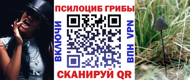 Купить где  Вельск  Галлюциногенные грибы мухоморы 